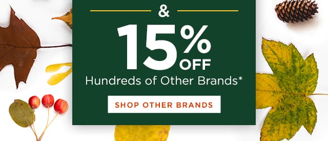 15% off Almost Everything Else