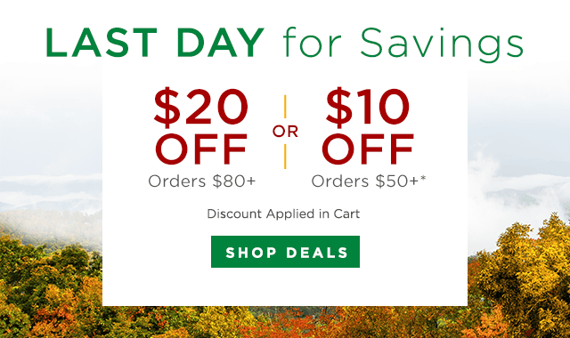 $10 OFF $50; $20 OFF $80 