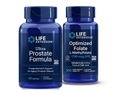 Life Extension