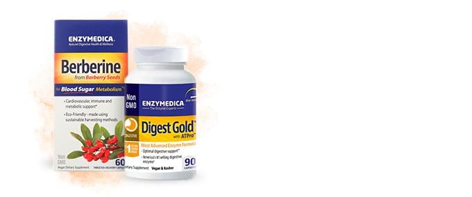 Experience Improved Digestion & Blood Sugar Support    Promote a healthier gut and metabolism  