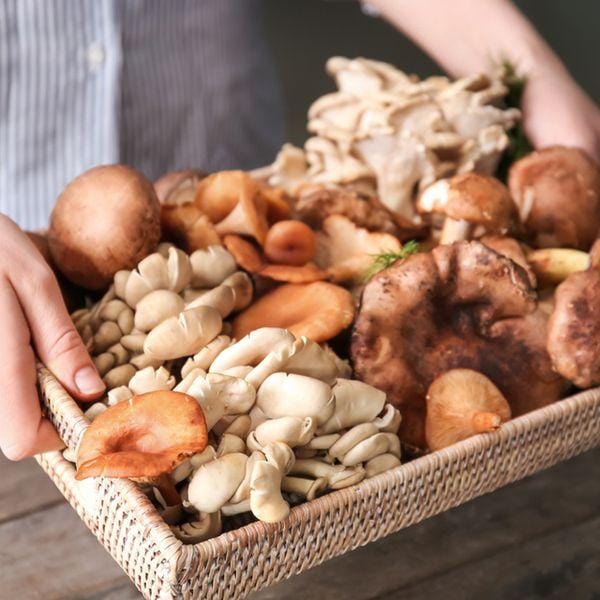 test-Top 10 Mushrooms for Better Health