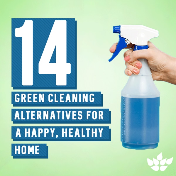 test-14 Green Cleaning Alternatives for a Happy, Healthy Home