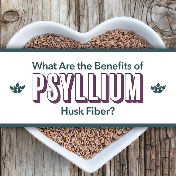 test-Top Reasons to Add Psyllium Husk Fiber to Your Diet