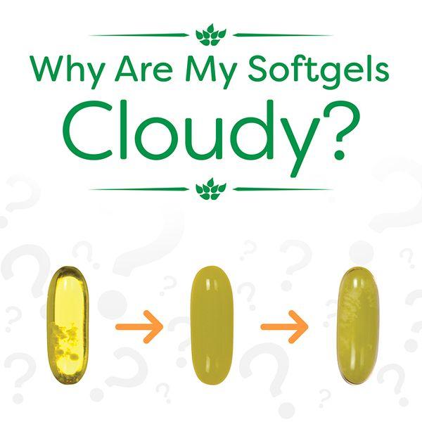 test-Why Are My Fish Oil Supplements Cloudy?