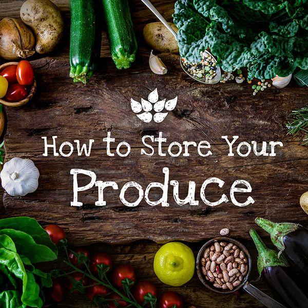 test-Storing Produce How to Keep Fruits  &  Vegetables Garden Fresh