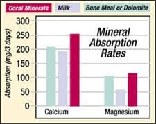 coral calcium absorption