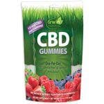 Irwin Naturals CBD Gummies - Mixed Berry