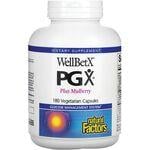 Natural Factors WellBetX PGX Plus Mulberry
