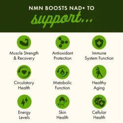 product image extra 2