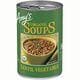Organic Lentil Vegetable Soup