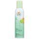 Natural Odor Eliminating Air Freshener - Tropical Citrus Blend