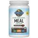 Raw Organic Meal Shake & Meal Replacement - Chocolate Cacao