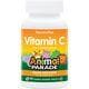 Animal Parade Vitamin C - Orange Juice