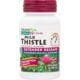 Herbal Actives Milk Thistle - Extended Release