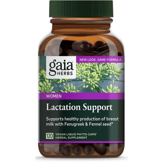 Lactate Support