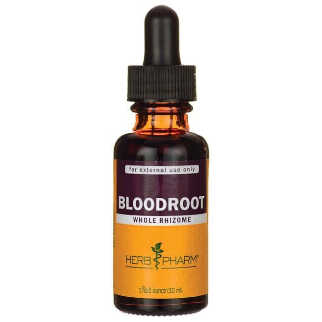 Herb Pharm Bloodroot 1 fl oz (30 mL) Liquid Swanson Health Products