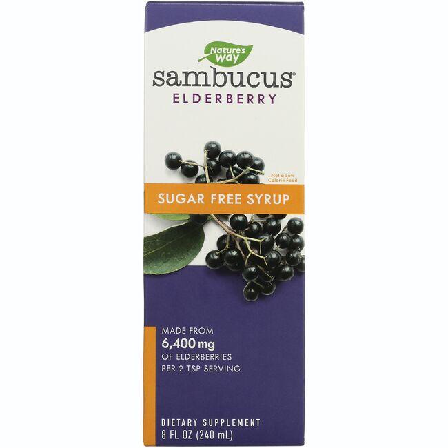 Sambucus Standardized Elderberry - Sugar Free