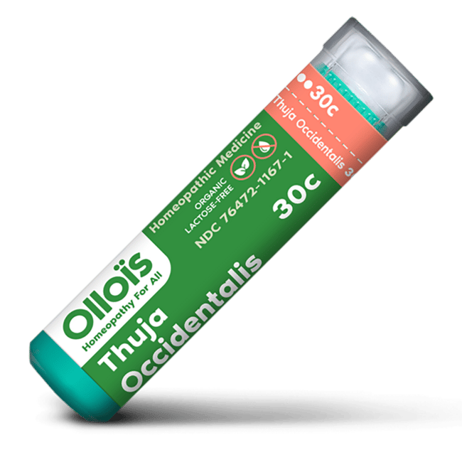 Ollois Homeopathic Thuja Occidentalis 30c 80 гранул