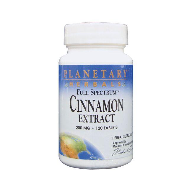 Planetary Herbals Full Spectrum Cinnamon Extract Vitamin | 200 mg | 120 Tabs