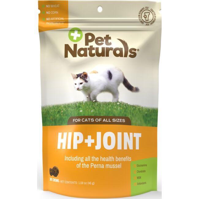 Hip  Joint for Cats