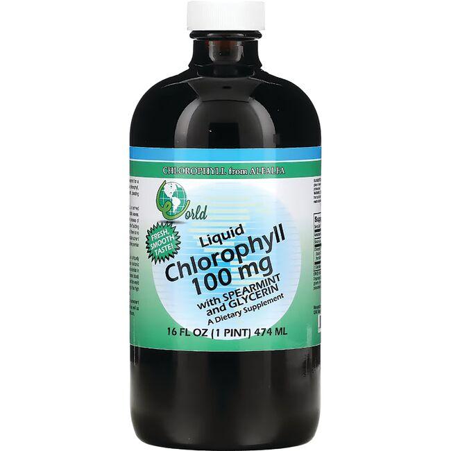 World  Chlorophyll Liquid with Spearmint and Glycerin 100 mg 16 fl oz Liquid
