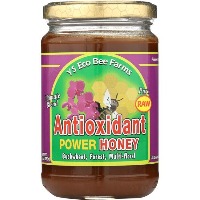 Y.S. Eco Bee Farms Raw Antioxidant Power Honey | 13.5 oz Paste