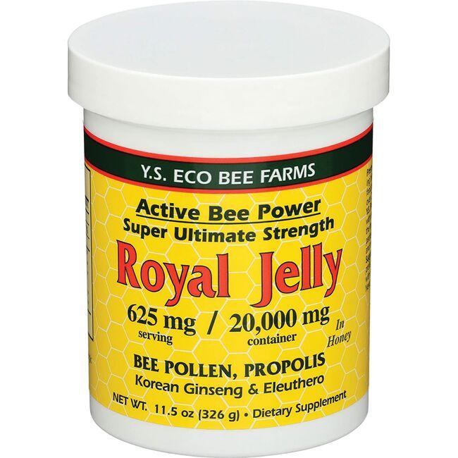Y.S. Eco Bee Farms Active Power Royal Jelly In Honey Supplement Vitamin 625 mg 11.5 oz Paste